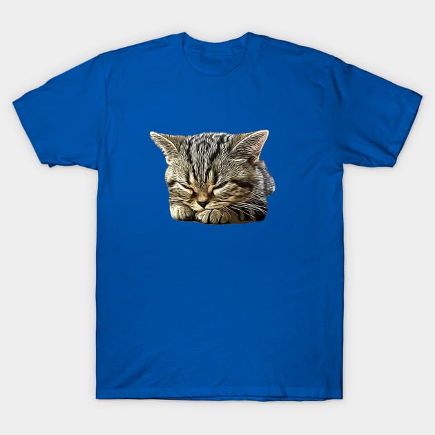 American Shorthair Cat T-Shirt by ElegantCat